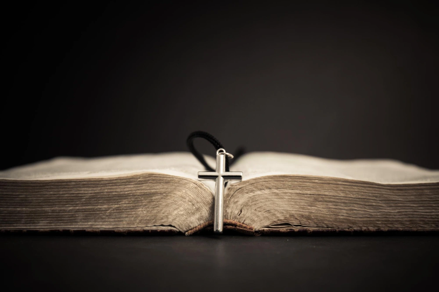 How many books in the bible